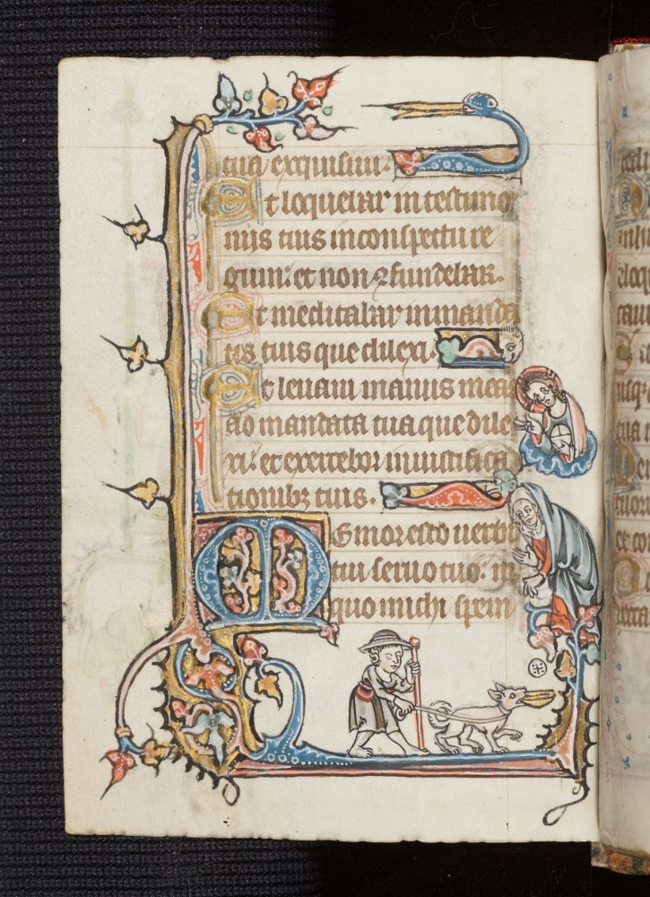 Psalter Douay Rheims Museum World Ranking